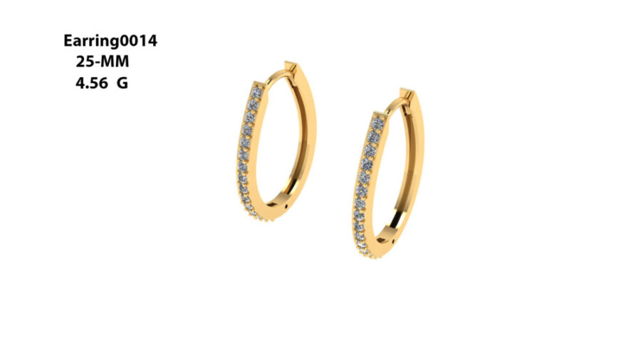 Stud Earring