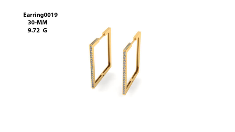 Stud Earring