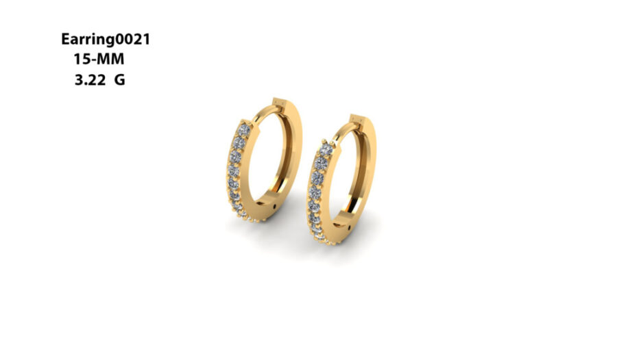 Stud Earring