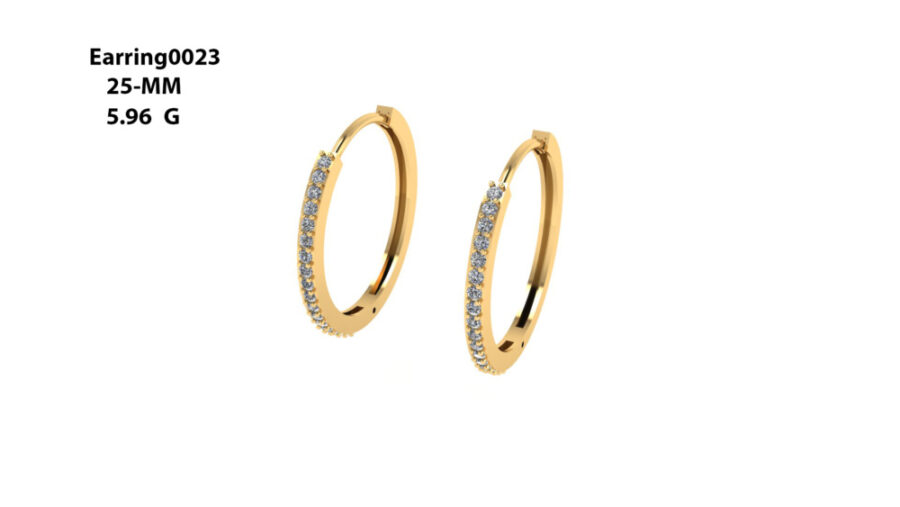 Stud Earring