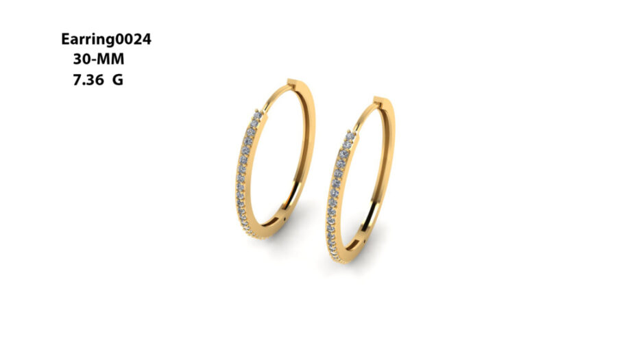 Stud Earring