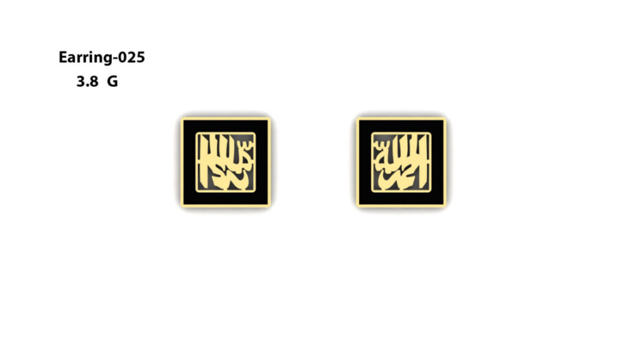 Stud Earring